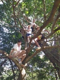 RECHERCHE CHEFS/CHEFTAINES SCOUTS FRANCOPHONES A HONG KONG